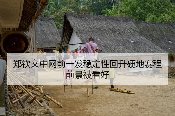 郑钦文中网前一发稳定性回升硬地赛程前景被看好